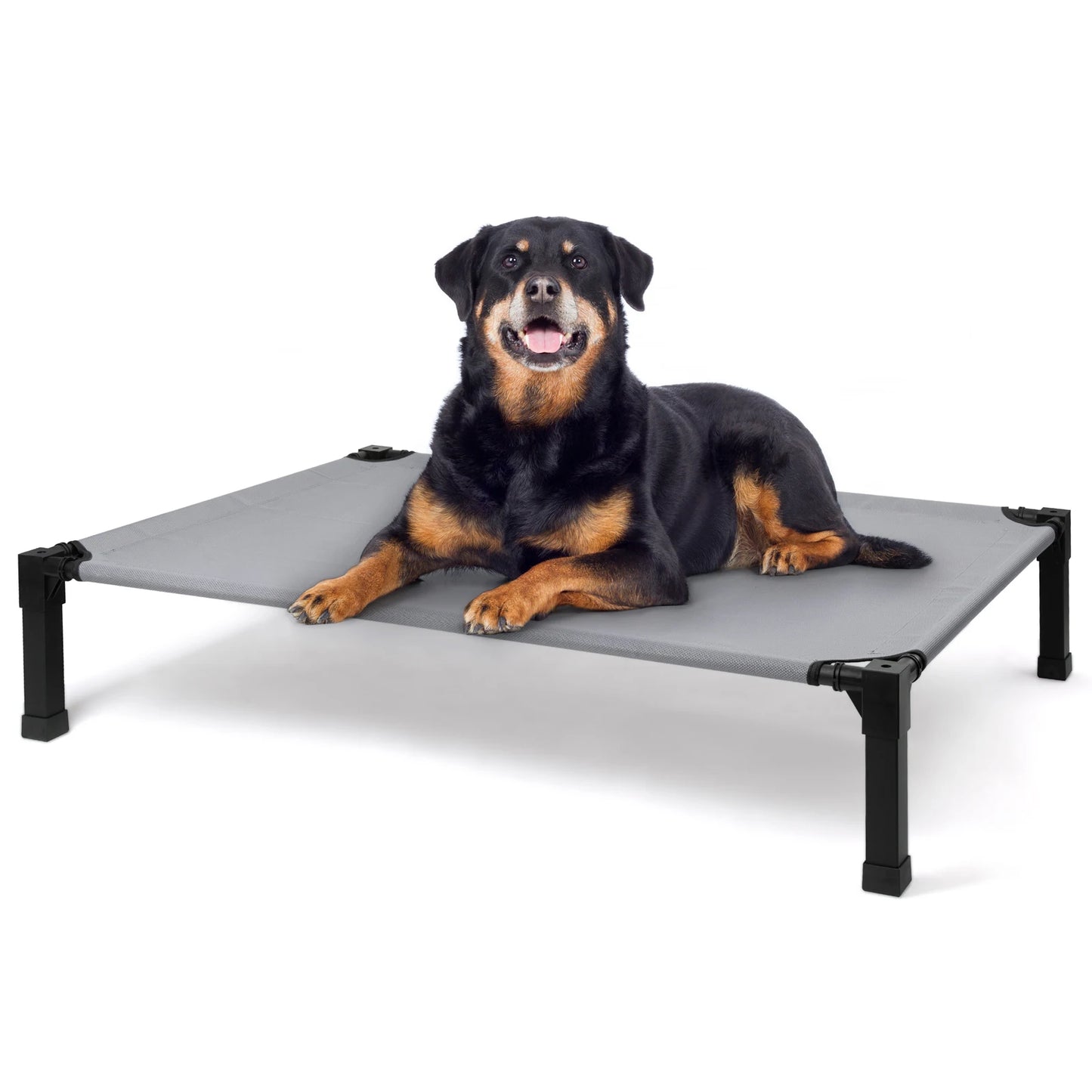 Elevated Dog Bed Cooling Raised Pet Cot Breathable Mesh Frame