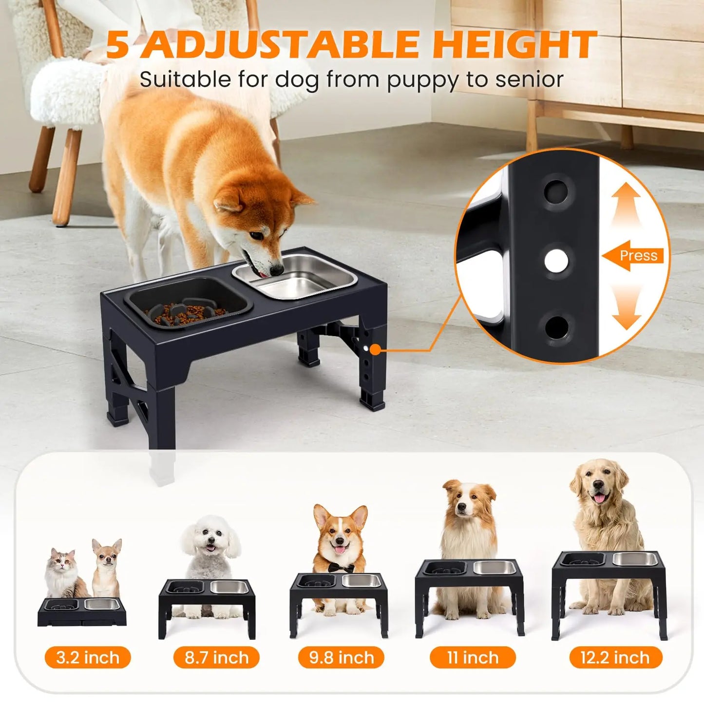 Elevated Slow Feeder Dog Bowls Adjustable Stainless Steel Food Water