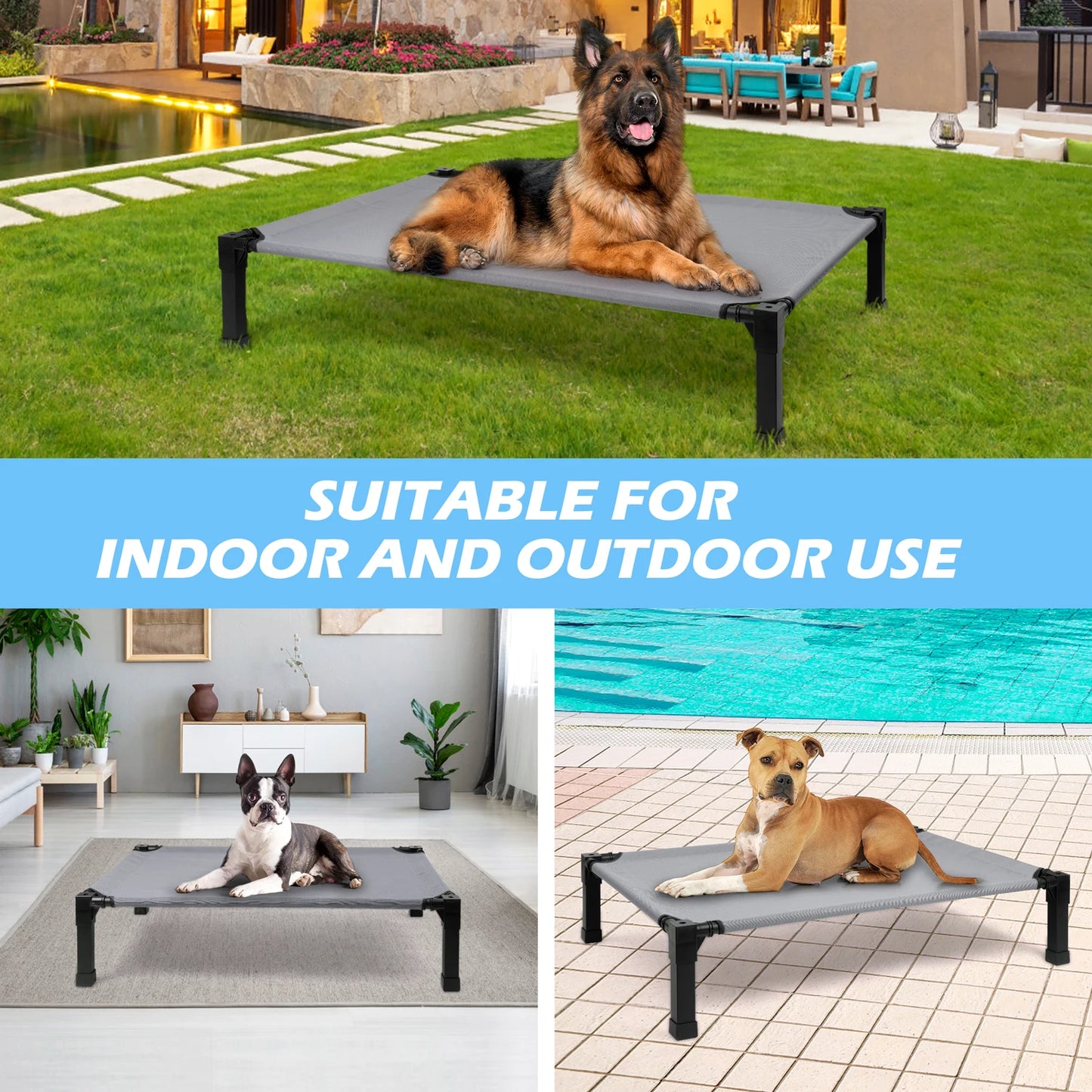 Elevated Dog Bed Cooling Raised Pet Cot Breathable Mesh Frame