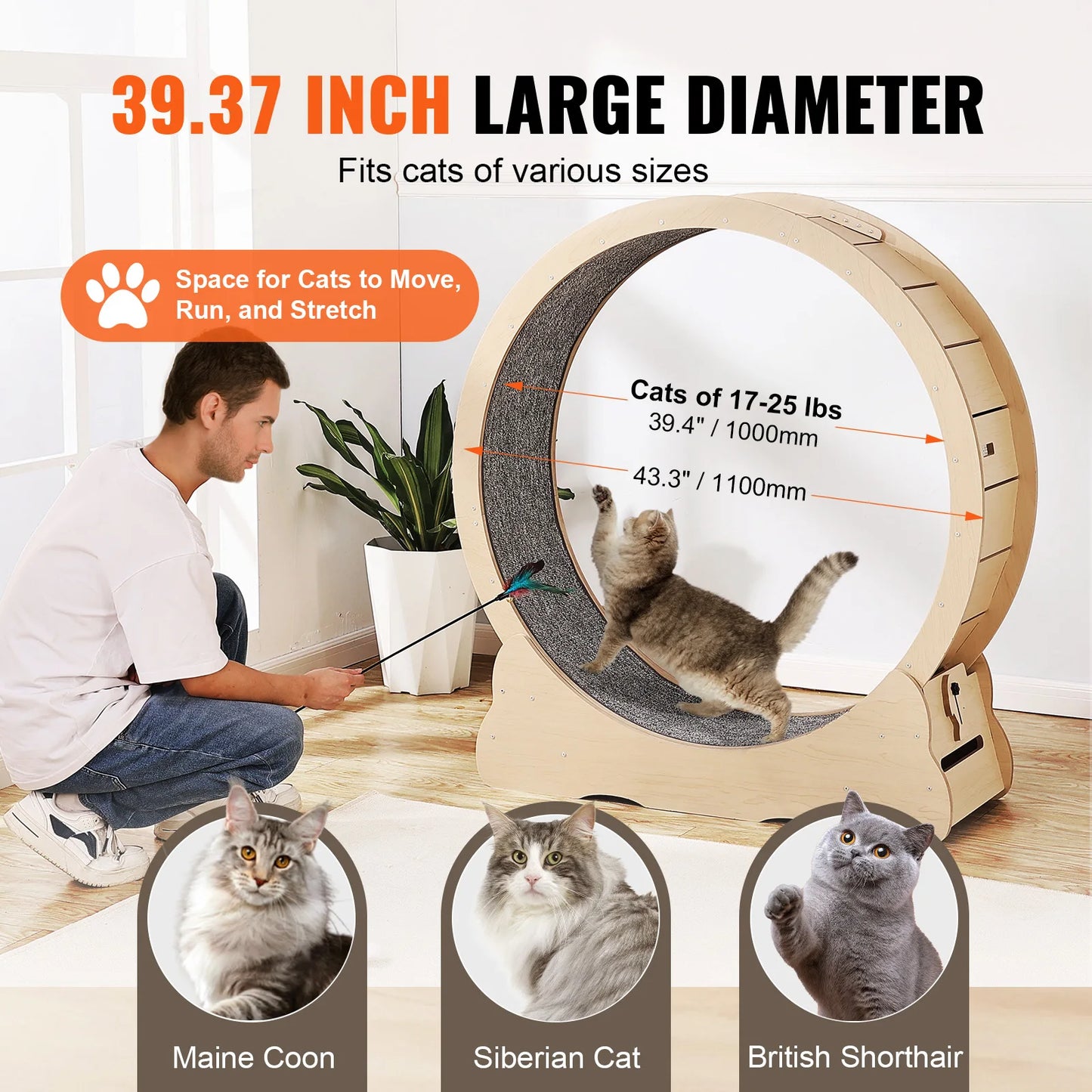 Wooden Cat Exercise Wheel Indoor Treadmill Featuring Detachable Carpet Stand