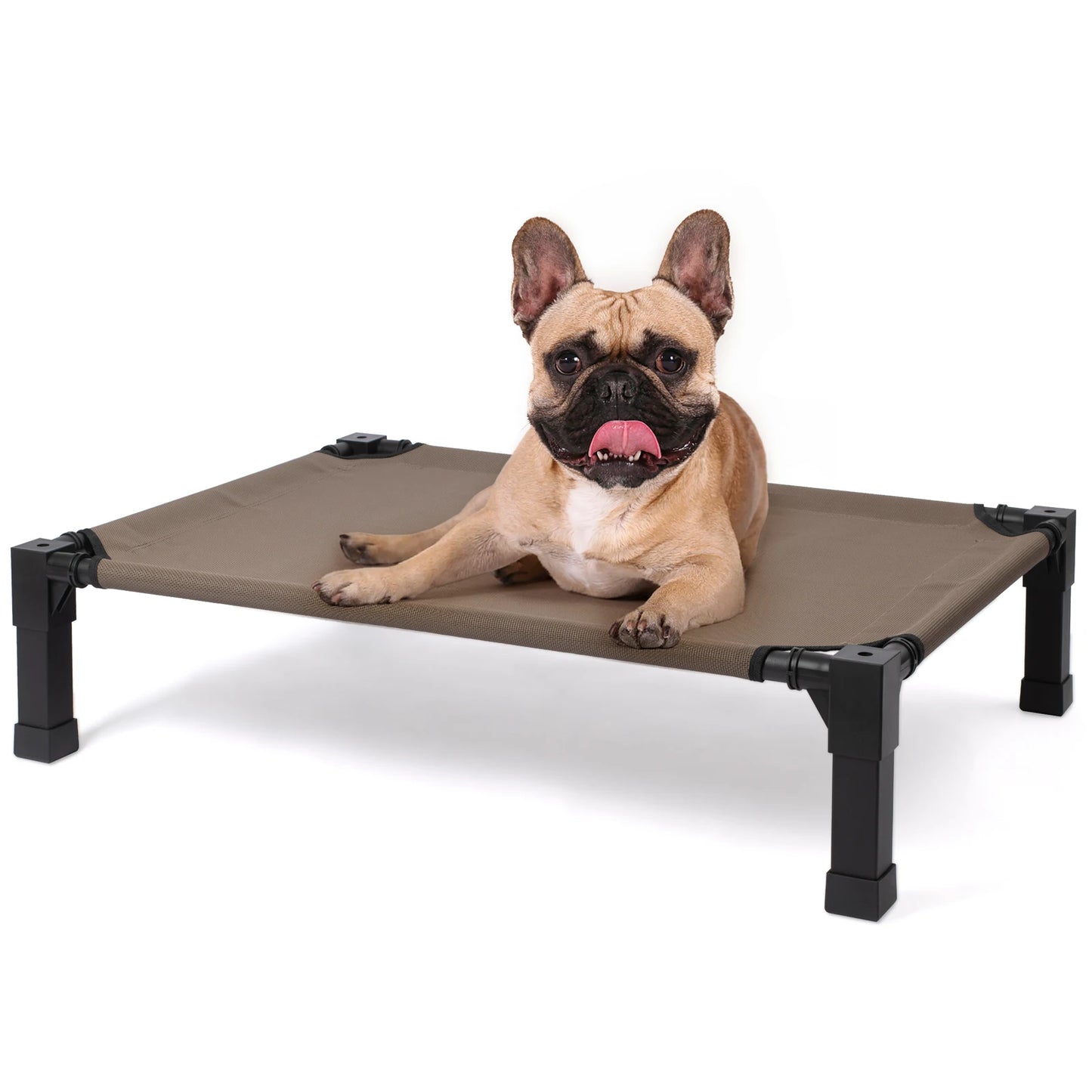 Elevated Dog Bed Cooling Raised Pet Cot Breathable Mesh Frame